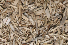 biomass boilers Lower Wych